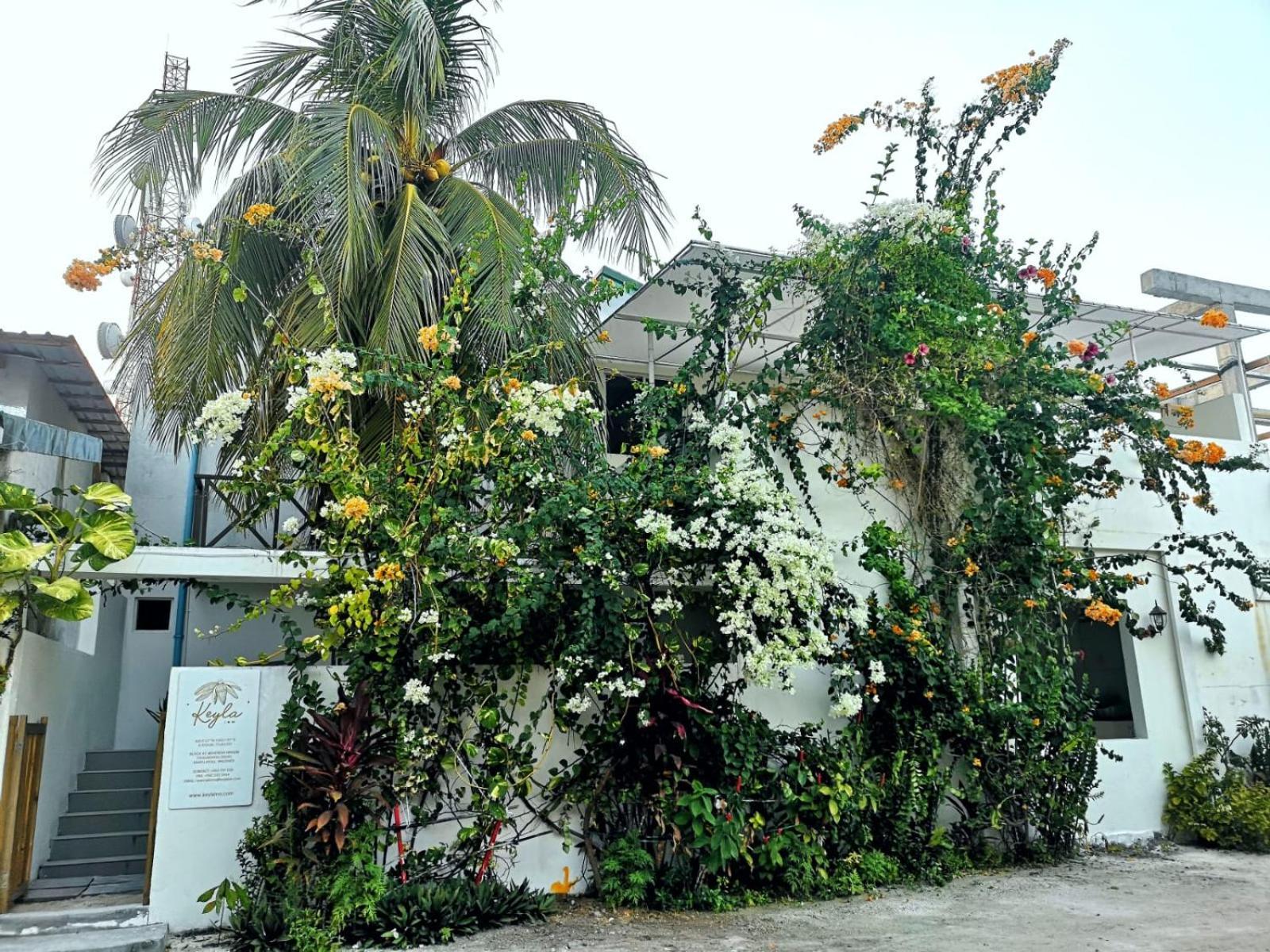 Keyla Inn Thulusdhoo Exterior photo